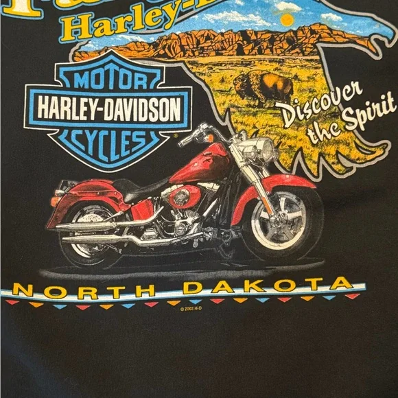 Harley Davidson Very Rare 2005 Fargo ND Flaming Dice With Card Sleeve Hits - Picture 9 of 15